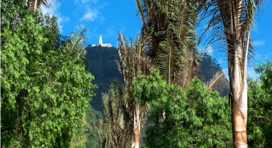 Regency_FotomontajeAéreo_Baja (6)